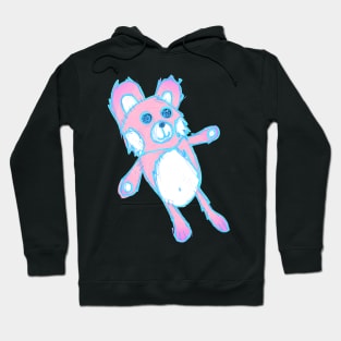 Pink Teddy Bear Hoodie